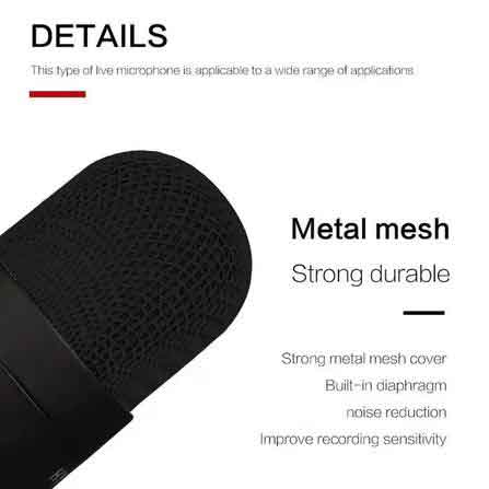 cardioid condenser microphone